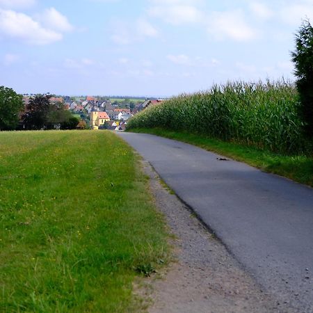 Ferienwohnung Friedrich Michelstadt Exteriör bild