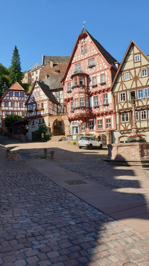 Ferienwohnung Friedrich Michelstadt Exteriör bild